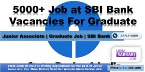 Junior Associate | Graduate Job