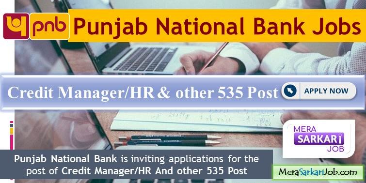 Punjab National Bank Logo | Officers Vacancy
